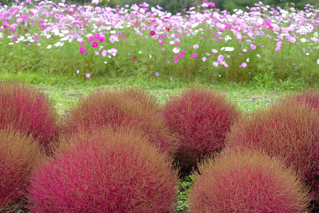 綠植盆栽室外幼兒園，打造自然與教育的和諧融合